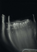 http://actionaqua.com/files/gimgs/th-113_20250723DJI0003invert.jpg
