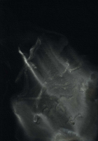 http://actionaqua.com/files/gimgs/th-113_20250723DJI0005invert.jpg