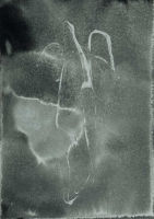 http://actionaqua.com/files/gimgs/th-127_20250208fhd0035invert.jpg