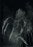 http://actionaqua.com/files/gimgs/th-127_20250208fhd0041invert.jpg