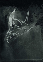 http://actionaqua.com/files/gimgs/th-127_20250208fhd0045invert.jpg