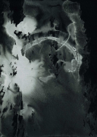http://actionaqua.com/files/gimgs/th-127_20250208fhd0048invert.jpg