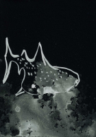 http://actionaqua.com/files/gimgs/th-127_20250703DJI0002invert.jpg