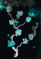 http://actionaqua.com/files/gimgs/th-127_20250906DJI0015invert.jpg