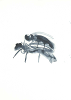 http://actionaqua.com/files/gimgs/th-128_20250411DJI0001.jpg
