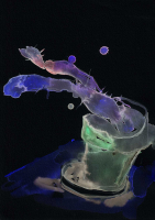 http://actionaqua.com/files/gimgs/th-129_20250310dji0001-02invert.jpg
