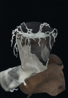 http://actionaqua.com/files/gimgs/th-129_20251011DJI0011invert.jpg