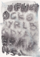 http://actionaqua.com/files/gimgs/th-132_20260204DJI0004.jpg