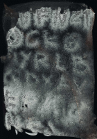 http://actionaqua.com/files/gimgs/th-133_20260204DJI0004invert.jpg