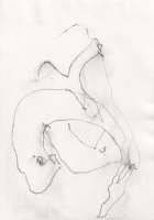 http://actionaqua.com/files/gimgs/th-134_20250523DJI0016.jpg