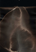 http://actionaqua.com/files/gimgs/th-135_20250516DJI0013invert.jpg