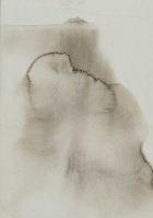 http://actionaqua.com/files/gimgs/th-135_20250518DJI0006invert.jpg