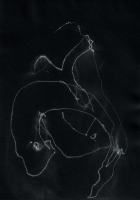 http://actionaqua.com/files/gimgs/th-135_20250523DJI0016invert.jpg