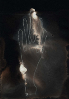 http://actionaqua.com/files/gimgs/th-138_20250531DJI0004invert.jpg