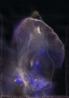http://actionaqua.com/files/gimgs/th-140_20250826DJI0001-02invert.jpg
