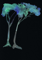 http://actionaqua.com/files/gimgs/th-142_20250805DJI0017invert.jpg