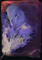 http://actionaqua.com/files/gimgs/th-142_20250811DJI0002invert.jpg