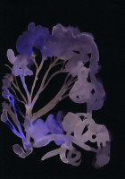 http://actionaqua.com/files/gimgs/th-142_20250811DJI0004invert.jpg