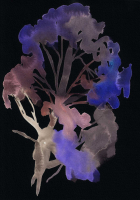 http://actionaqua.com/files/gimgs/th-142_20250811DJI0005invert.jpg