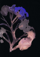 http://actionaqua.com/files/gimgs/th-142_20250811DJI0007invert_v2.jpg