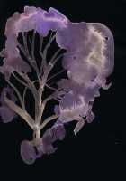http://actionaqua.com/files/gimgs/th-142_20250811DJI0008invert.jpg