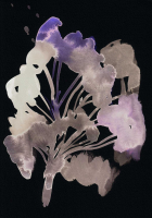 http://actionaqua.com/files/gimgs/th-142_20250811DJI0012invert.jpg