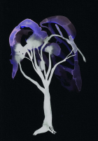 http://actionaqua.com/files/gimgs/th-142_20250813DJI0001invert.jpg