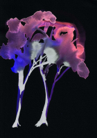 http://actionaqua.com/files/gimgs/th-142_20250813DJI0003invert.jpg