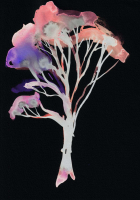 http://actionaqua.com/files/gimgs/th-142_20250813DJI0005invert.jpg