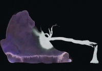 http://actionaqua.com/files/gimgs/th-142_20250817DJI10008invert.jpg