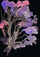 http://actionaqua.com/files/gimgs/th-142_20250829DJI10005invert.jpg