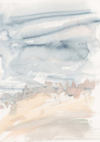 http://actionaqua.com/files/gimgs/th-146_20260115DJI0014.jpg