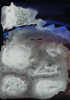 http://actionaqua.com/files/gimgs/th-147_20260130DJI0016invert.jpg