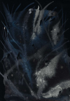 http://actionaqua.com/files/gimgs/th-147_20260204DJI0005invert.jpg