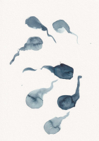 http://actionaqua.com/files/gimgs/th-98_20250505DJI0010.jpg