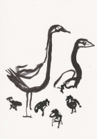 http://actionaqua.com/files/gimgs/th-98_20250625DJI0001.jpg